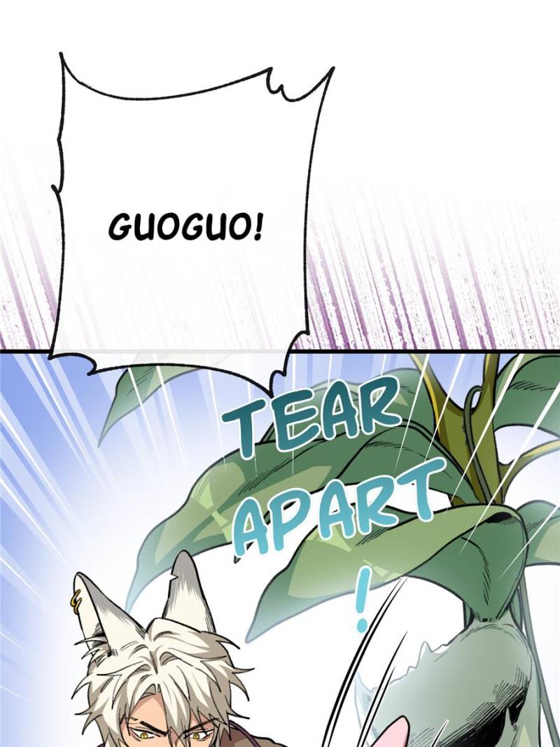 80676578 800 1067 88496